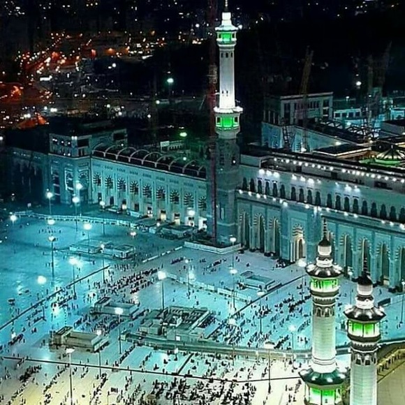 Meet your Posher, Seada. umer - Picture 1 of 1